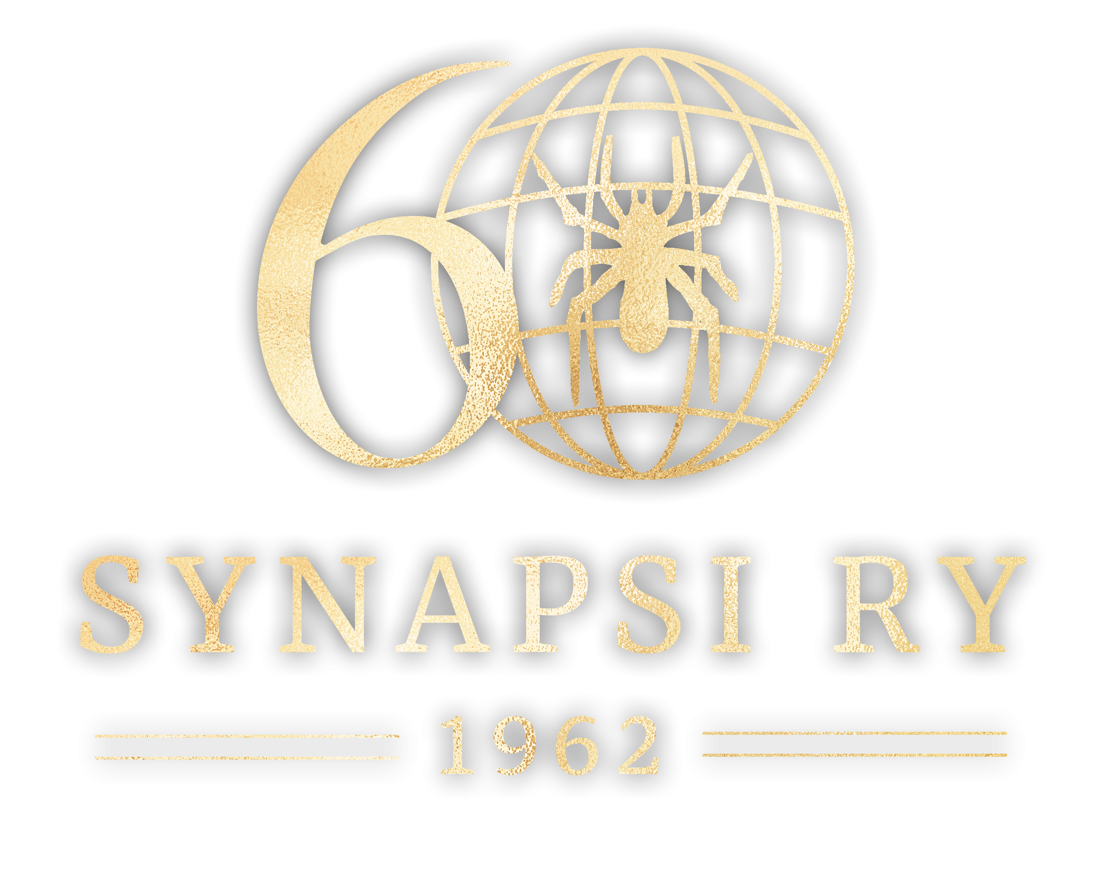 Synapsi ry